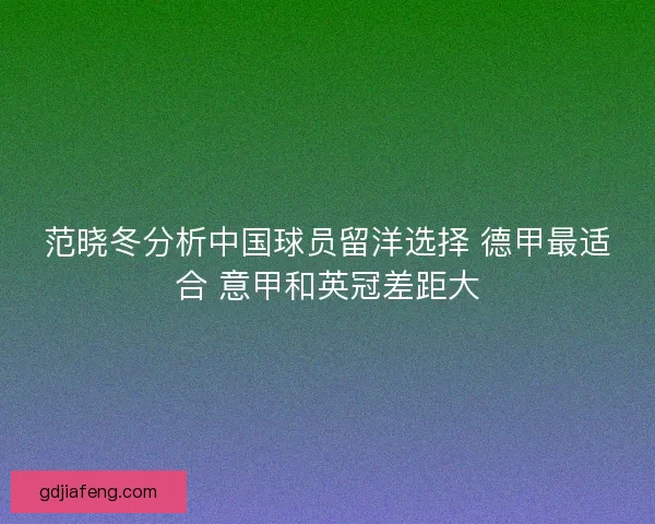 范晓冬分析中国球员留洋选择 德甲最适合 意甲和英冠差距大