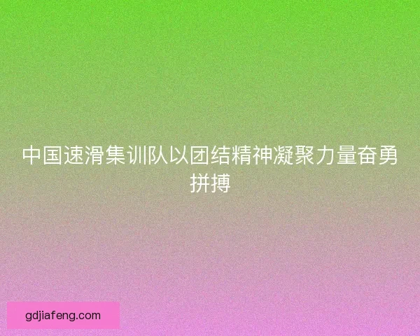 中国速滑集训队以团结精神凝聚力量奋勇拼搏 中国速滑集训队以团结精神凝聚力量奋勇拼搏